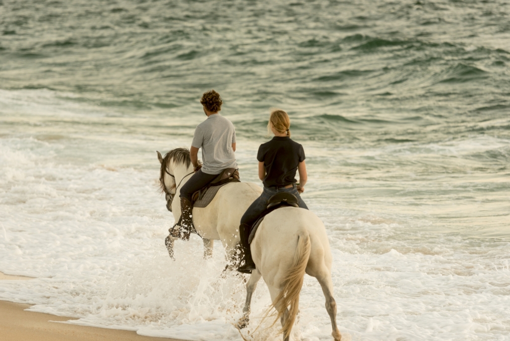 Percurso a cavalo em La Mata 1 hora preço desde 15€ 