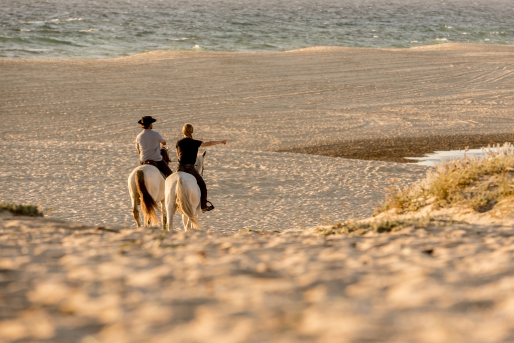 Percurso a cavalo em La Mata 1 hora preço desde 15€