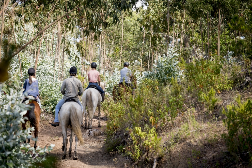 Percurso a cavalo em La Mata 1 hora preço desde 15€ 